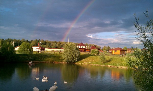 Парк птиц воробьи Москва