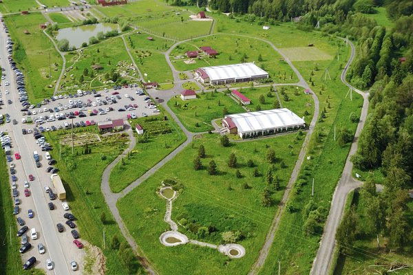 Парк птиц воробьи Калуга