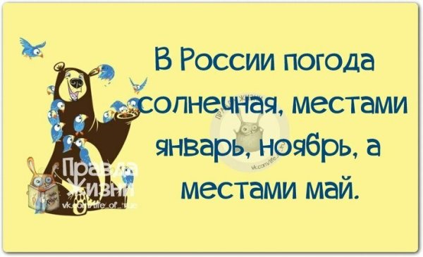 Смешные фразы про погоду