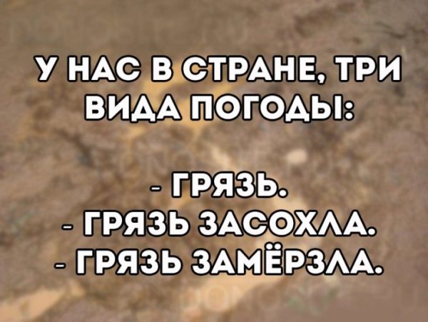 Анекдоты про погоду смешные