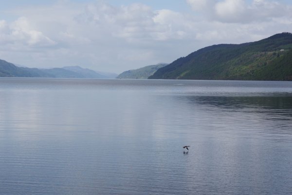 Верхнеафипское озеро Лохнесс