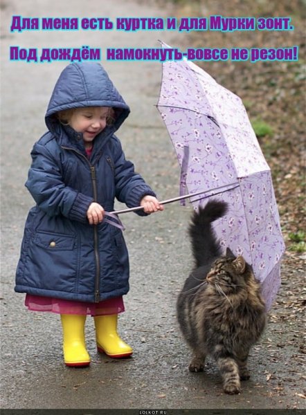 Дождик не повод для грусти