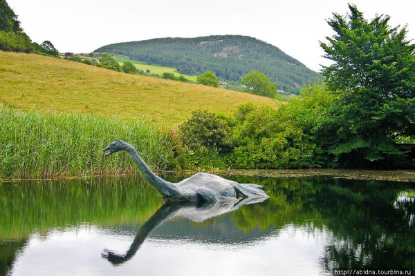 Озеро Лохнесс Несси