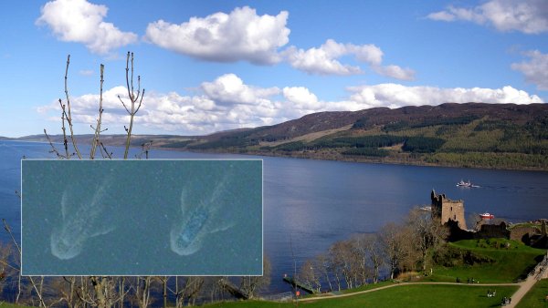 9. Озеро лох-Несс