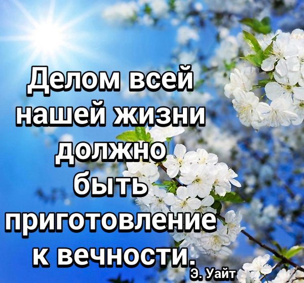 «Воля Божия есть освящение наше»