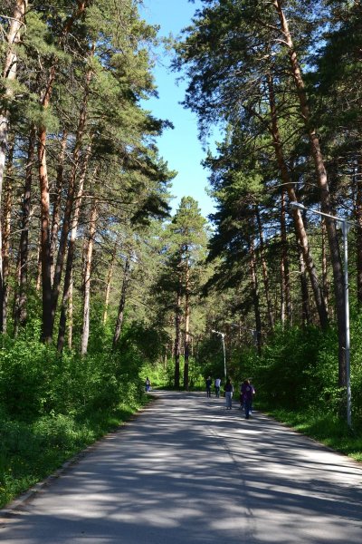 Заельцовский парк Новосибирск Новосибирск