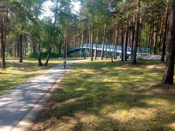 Заельцовский Бор Новосибирск