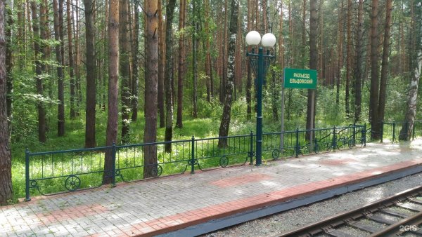 Заельцовский парк Новосибирск 2022