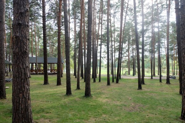 Заельцовский парк