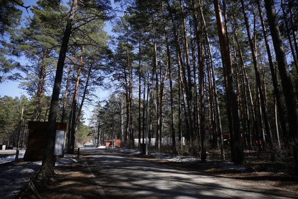 Заельцовский парк Новосибирск