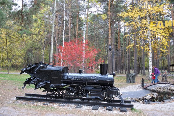 Заельцовский парк Новосибирск