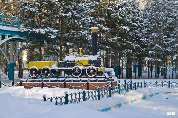 Заельцовский парк Новосибирск зимой