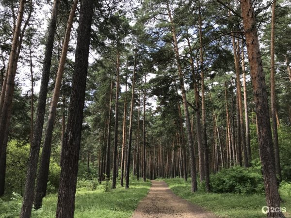 Заельцовский парк Сибиряк