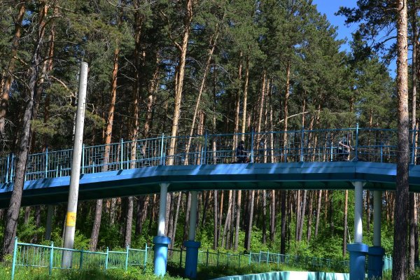 База Динамо Новосибирск Заельцовский парк