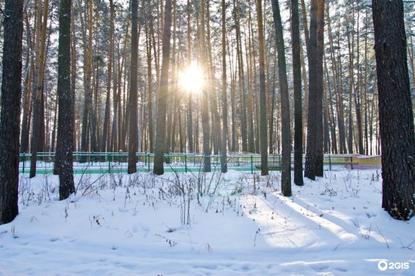 Город Новосибирск Заельцовский парк