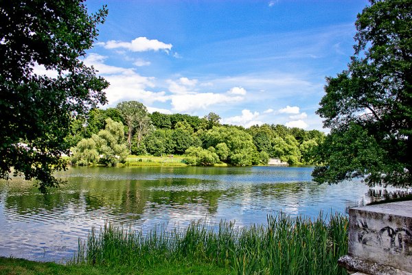 Лесопарк Люблино Кузьминский