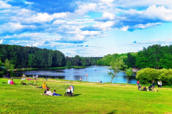 Кузьминки парк лесопарк