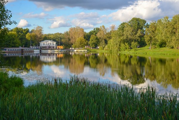 Кузьминский парк Москва