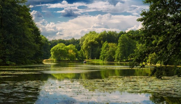 Парк Кузьминки пруд