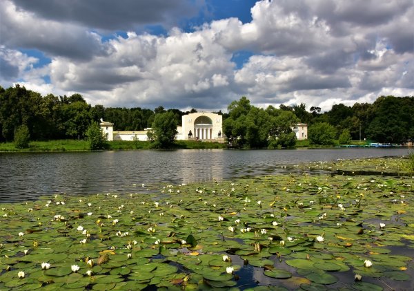 Парк Кузьминки-Люблино
