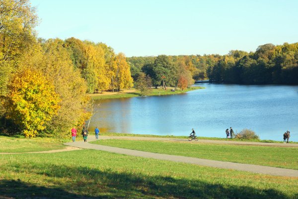 Кузьминский парк Москва