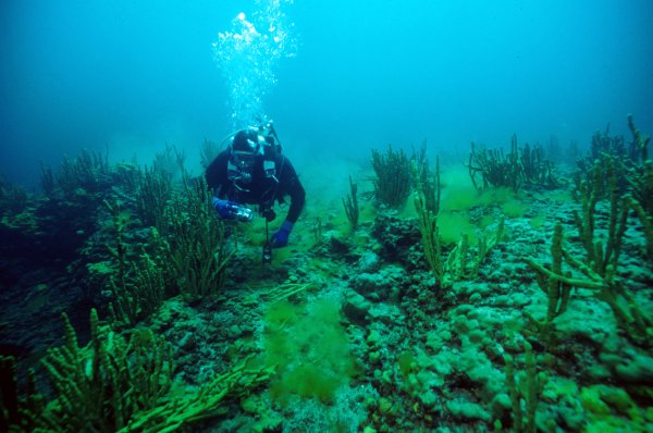 Дно озера Байкал