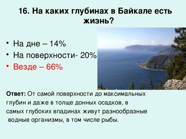 Глубина Байкала