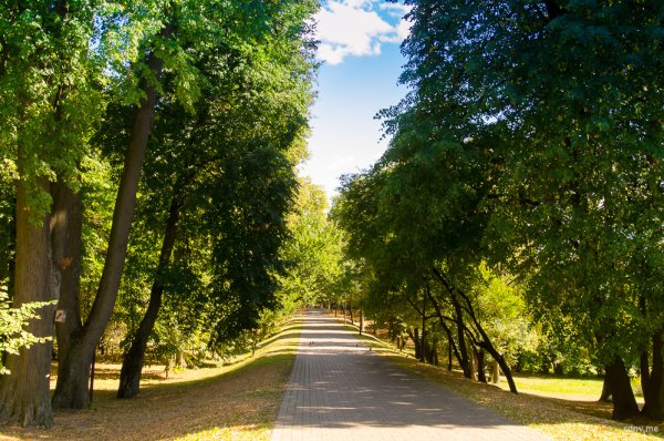 Беларусь Лошицкий парк