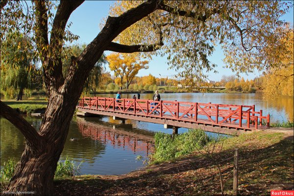 Минск парк Лошицкий парк