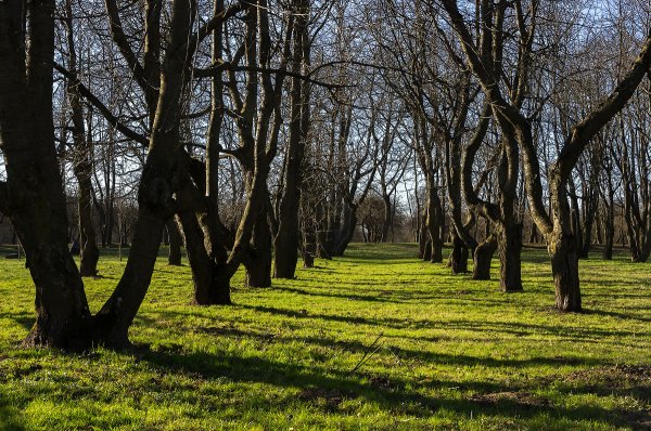 Лошицкий парк