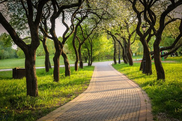 Въездная аллея