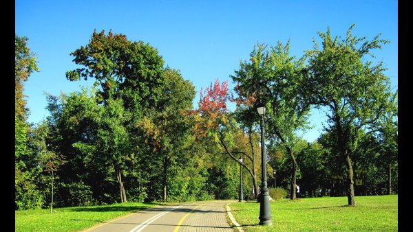 Лошицкий парк Белоруссия