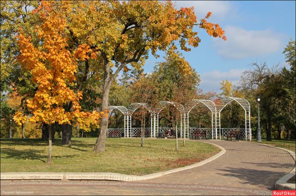 Лошицкий парк осень ярко