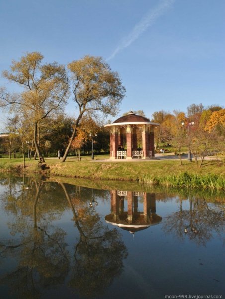 Минск Лошицкий парк беседка