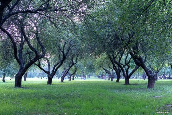 Парк Александров