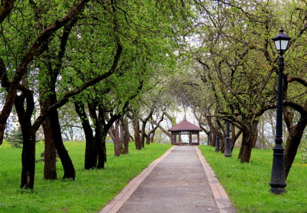 Лошицкий парк арка