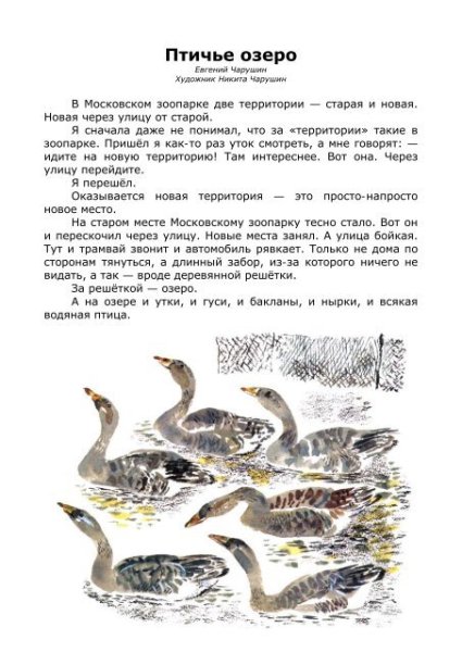 Евгений Чарушин Птичье озеро