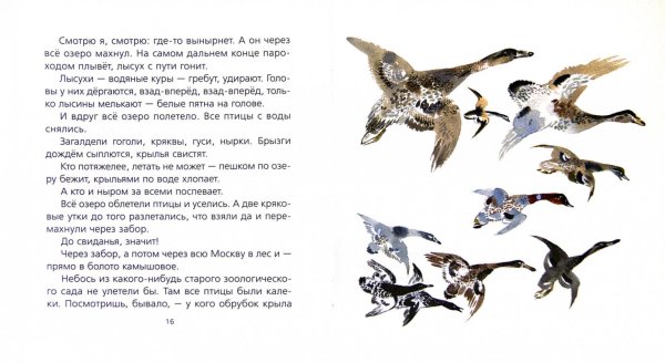 Птичье озеро Чарушин иллюстрации