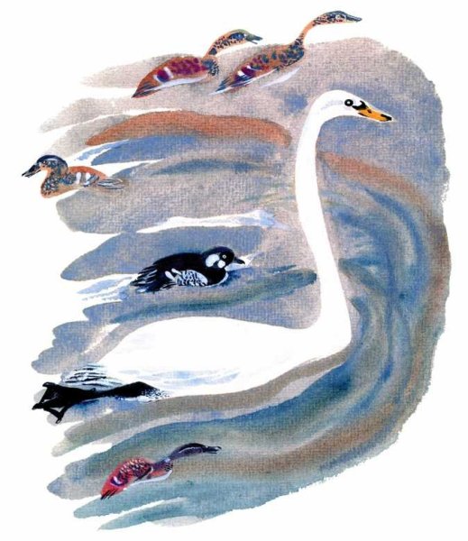 Евгений Чарушин "цапля"