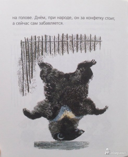 Иллюстрация к рассказу кабан Чарушин