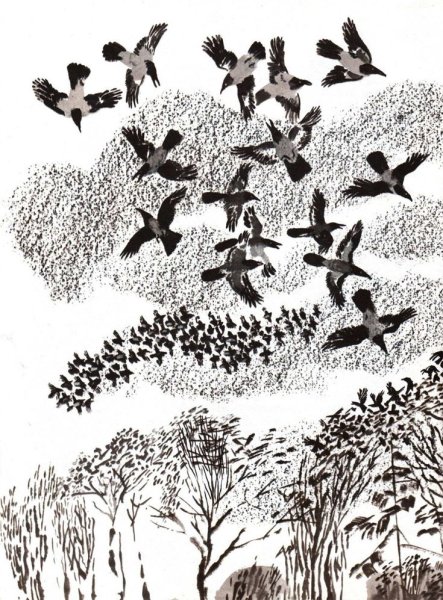 Иллюстрации Чарушина птицы