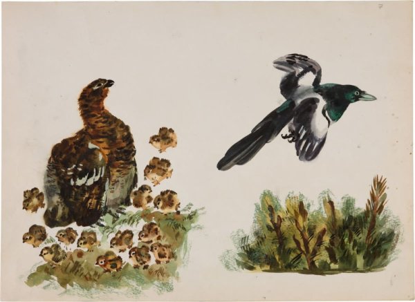 Чарушин е художник