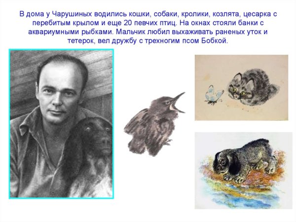 Животные в доме Чарушина