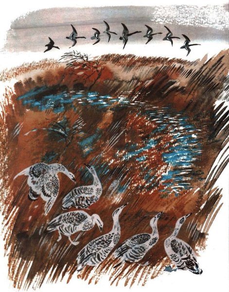 Никита Чарушин иллюстрации