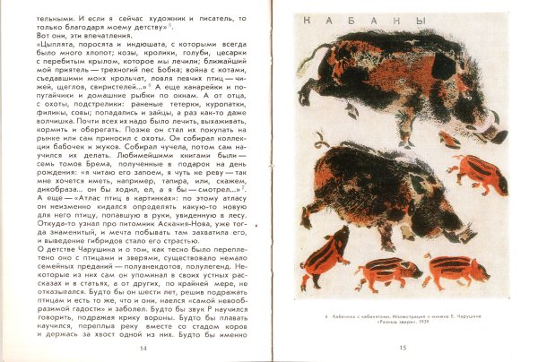 Кузнецов звери и птицы Евгения Чарушина