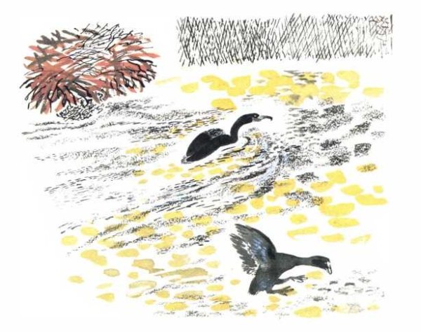 Птичье озеро Чарушин Евгений Иванович