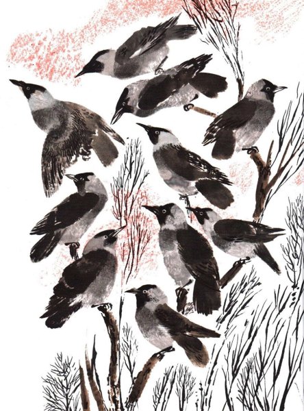 Никита Чарушин иллюстрации животных