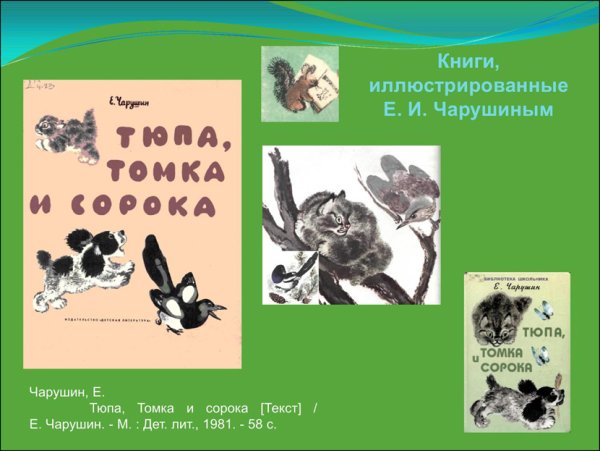 Книга Тюпа Томка и сорока