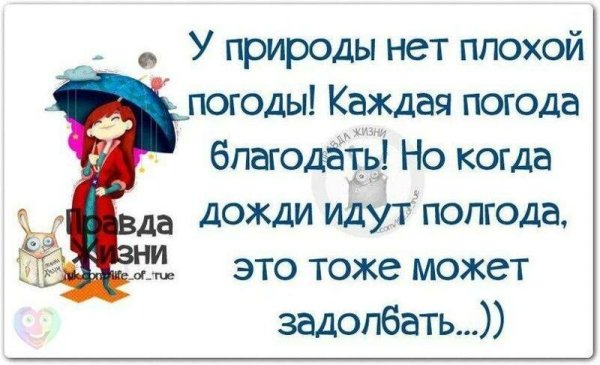 Смешные высказывания в картинках про погоду