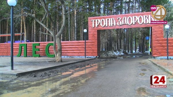 Город Нефтекамск тропа здоровья